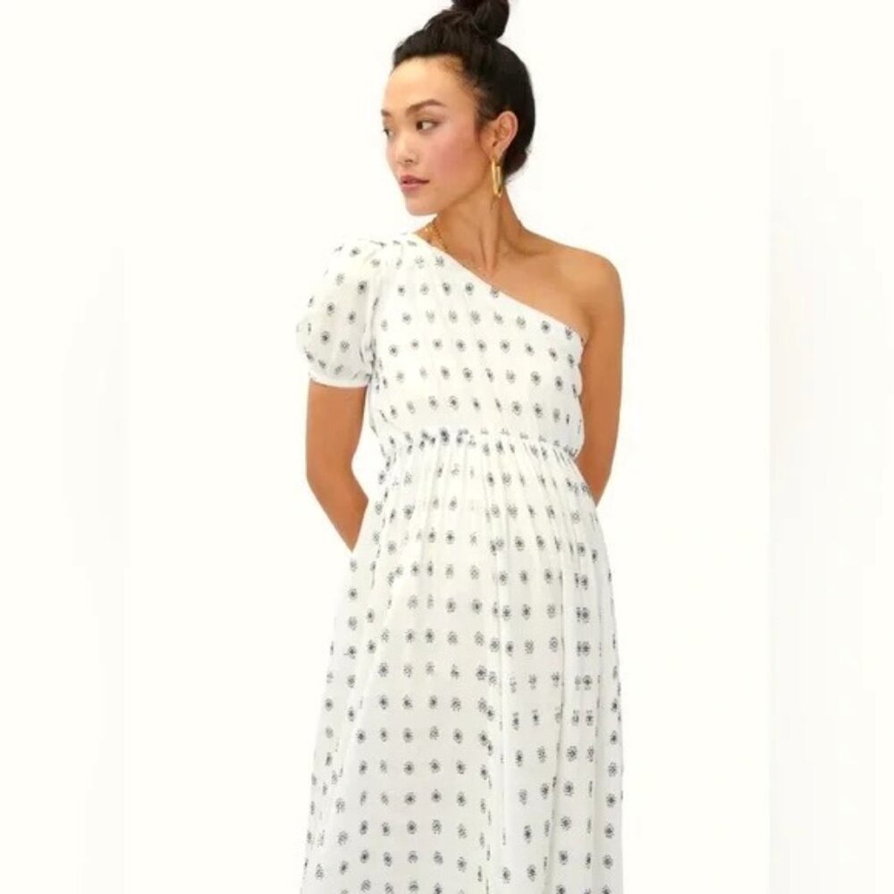 Hatch Elle Maternity Dress 1